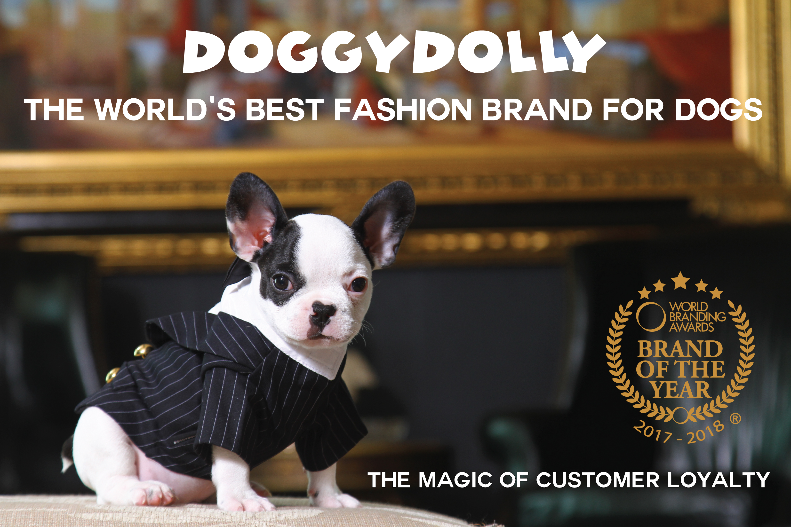 Doggy Dolly W040 Kapuzenshirt für Hunde Royal Divas Samt Winter schwarz 